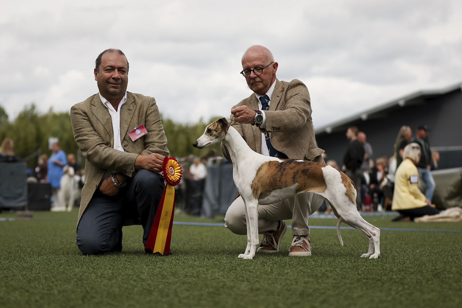 Showline Sweet Tiger Lily BIS 3 Grand Prix Geneve 2023