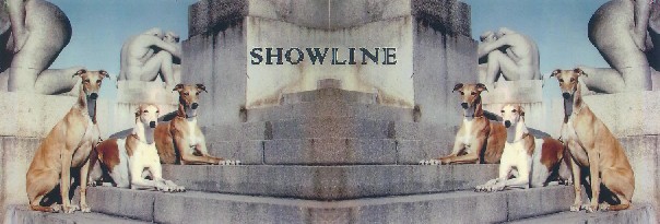 showline.jpg